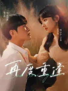 再度重逢 海报