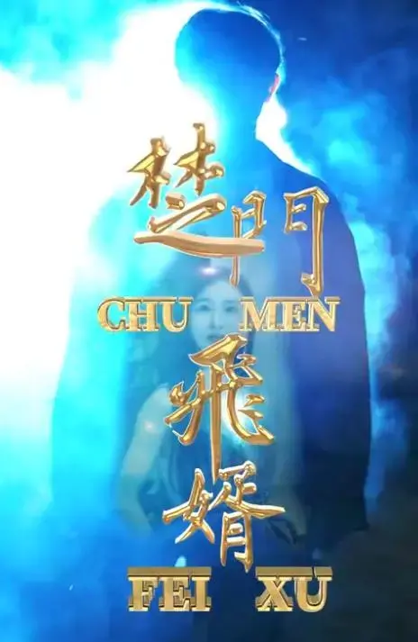 《楚门飞婿》：喜剧爱情与家族秘密的奇妙碰撞