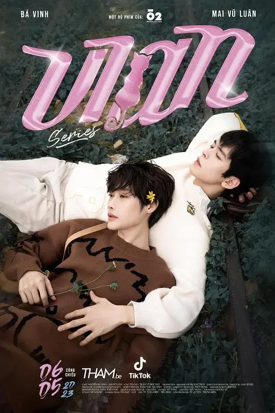 《喵不可言2023》：萌猫治愈都市，年度解压喜剧！