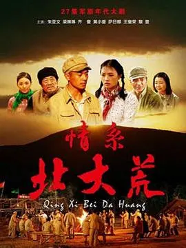 《情系北大荒》影评：热血青春与时代洪流的交响，谱写北大荒人的史诗赞歌