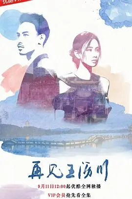 《再见王沥川》影评：沥川式温柔再续前缘，这次能否圆满？深度解析剧情与感动瞬间