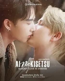 《爱情季节》：跨越时代变迁的浪漫之旅，一部触动心灵的爱情史诗